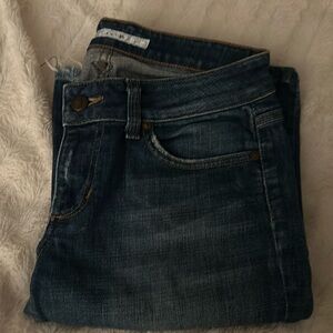 Joes flare leg jeans